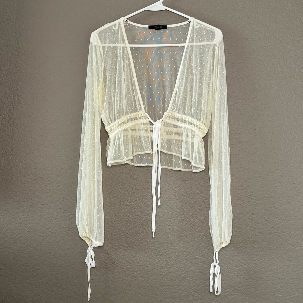 Sheer Long Sleeve Top